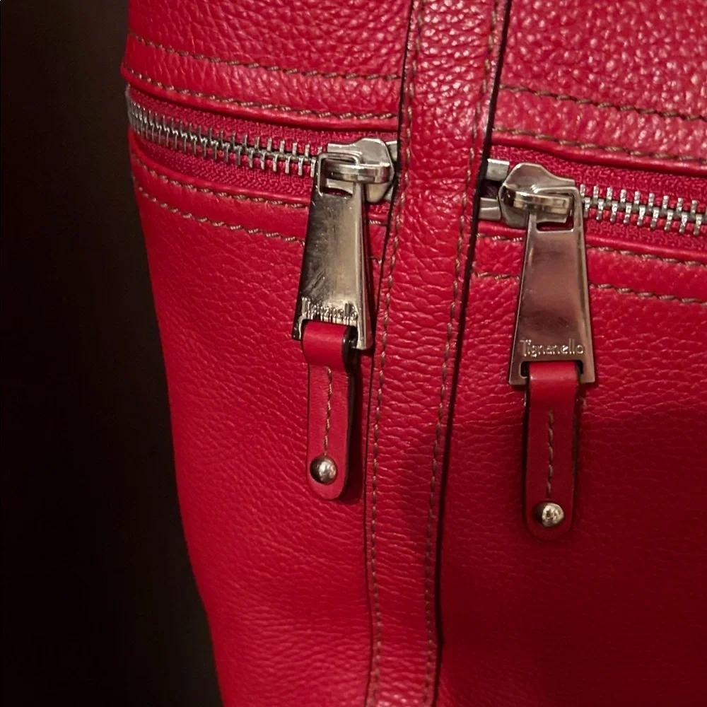 Tignanello Red Leather Hobo Bag